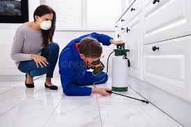 Best Real Estate Pest Inspections  in Knightstown, IN